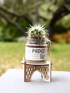 Laser Cut Wooden Plant Stand