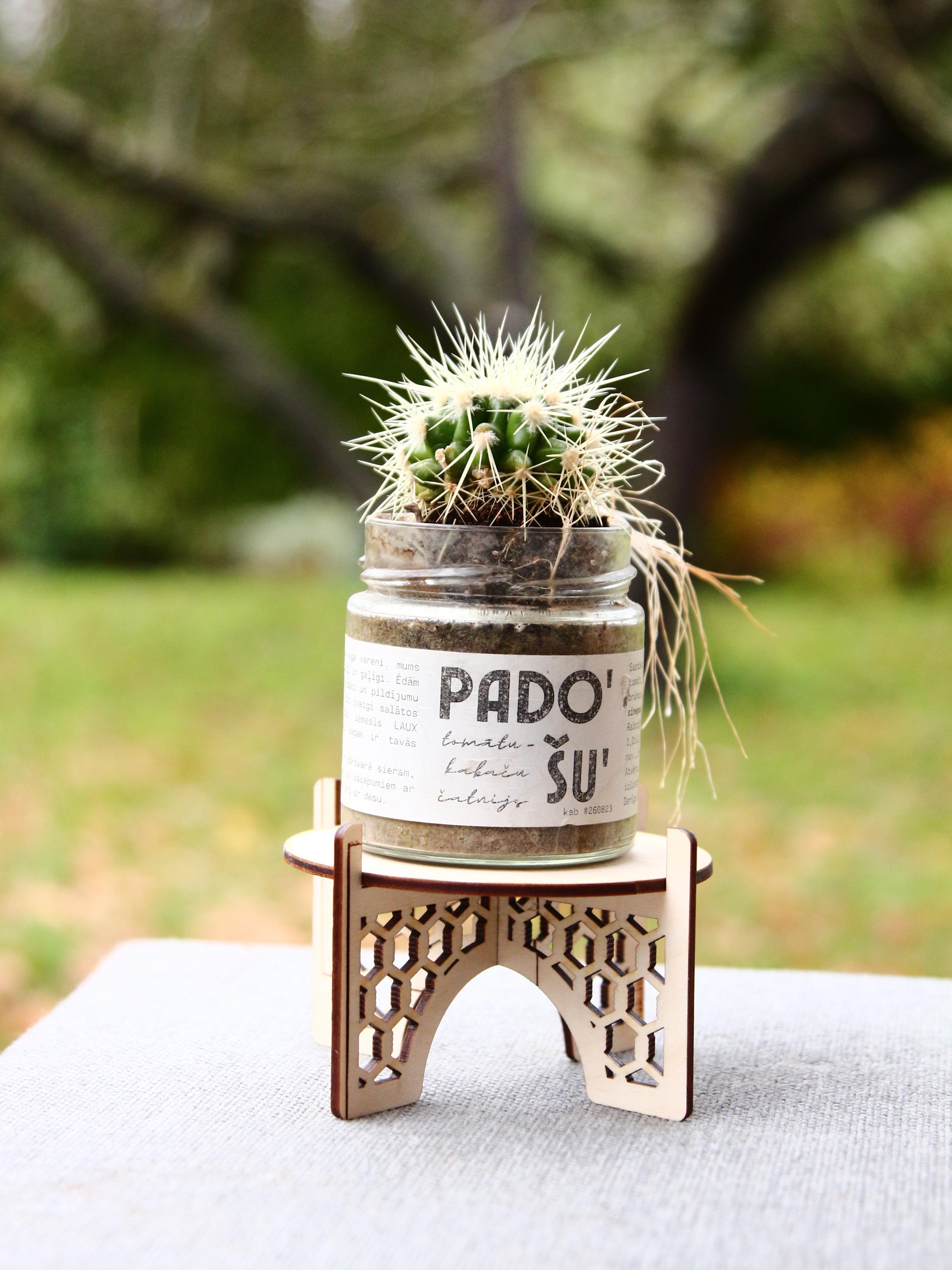 Laser Cut Wooden Plant Stand