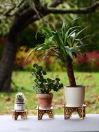 Laser Cut Wooden Plant Stand