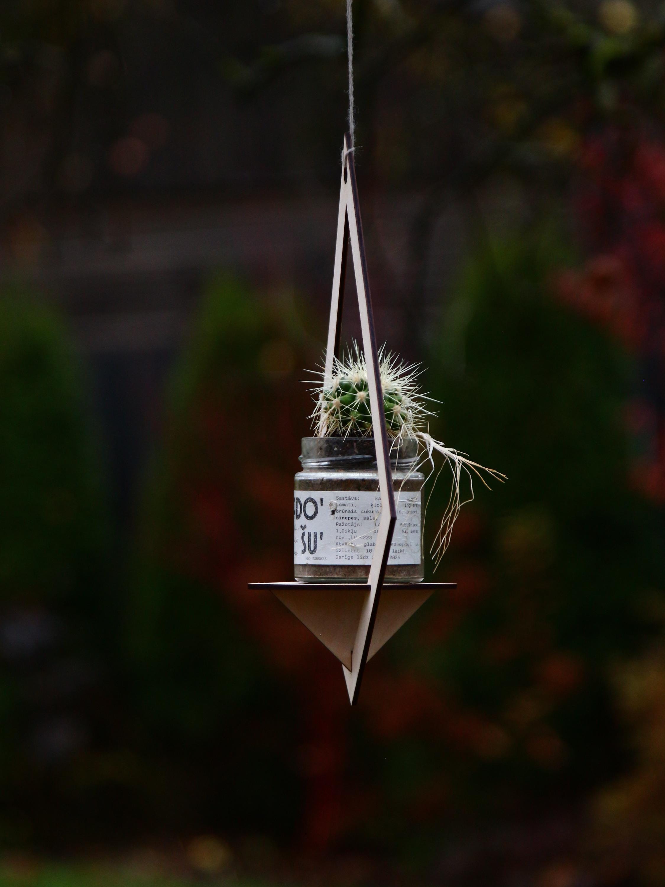 Geometric Hanging Planter Shelf