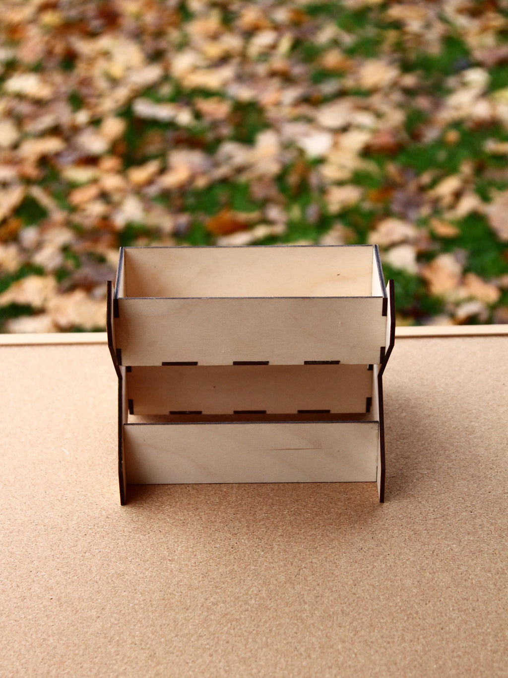 Two-Tier Mini Organizer