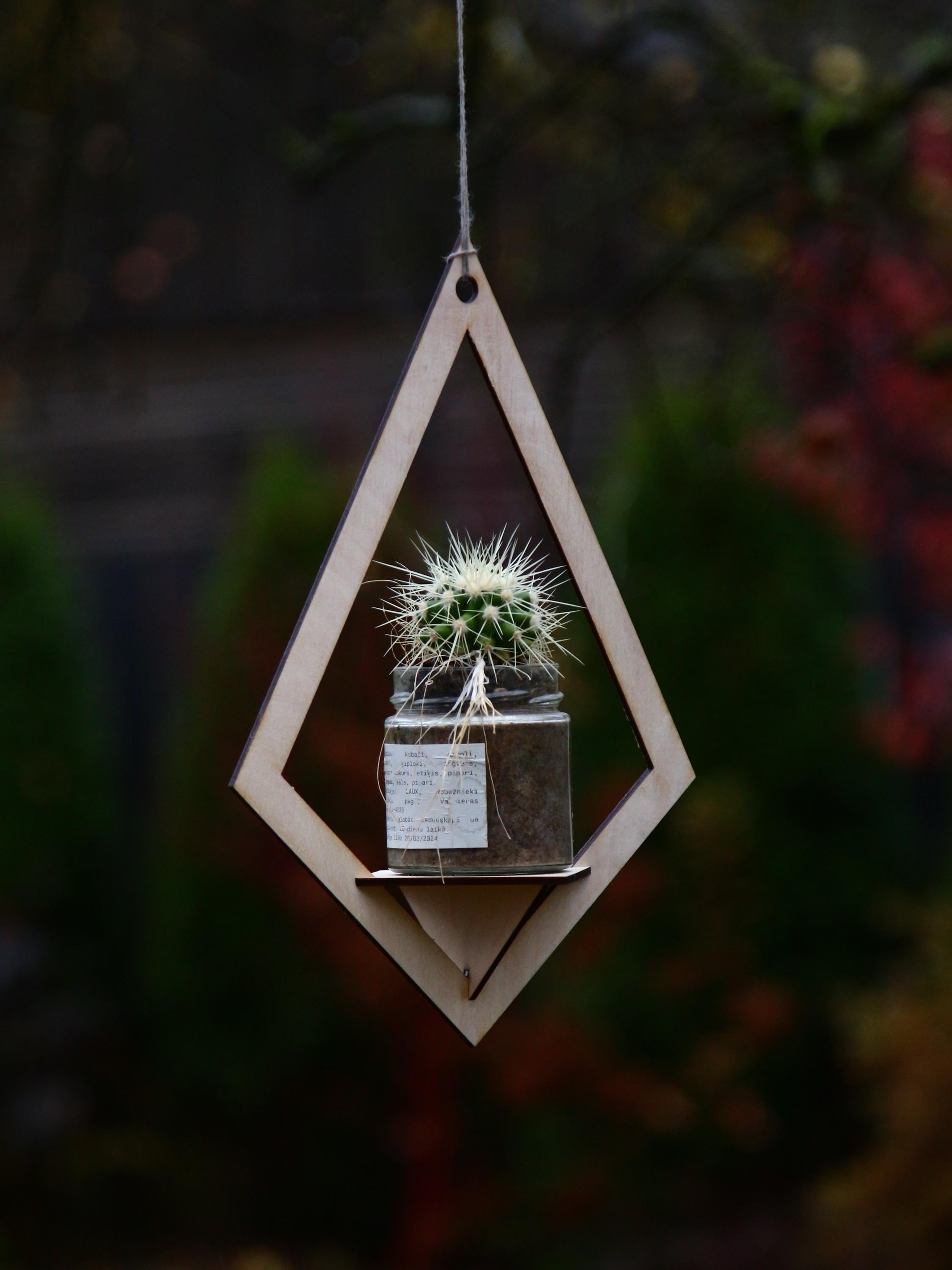 Geometric Hanging Planter Shelf