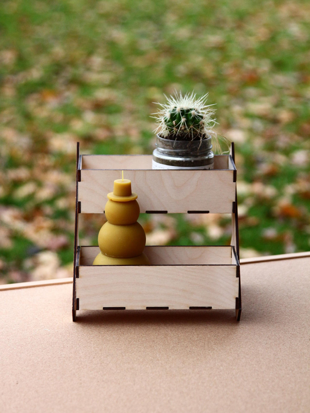 Two-Tier Mini Organizer