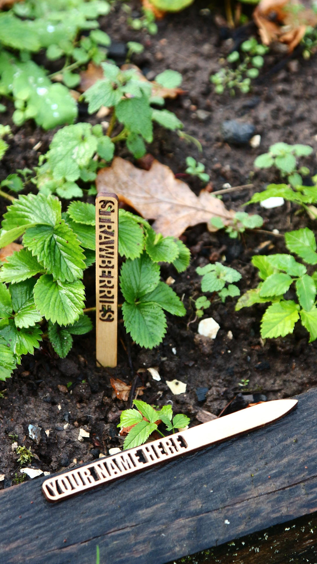 Personalized Wooden Garden Markers