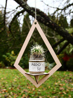 Geometric Hanging Planter Shelf