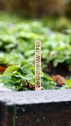 Personalized Wooden Garden Markers