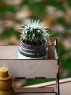 Two-Tier Mini Organizer