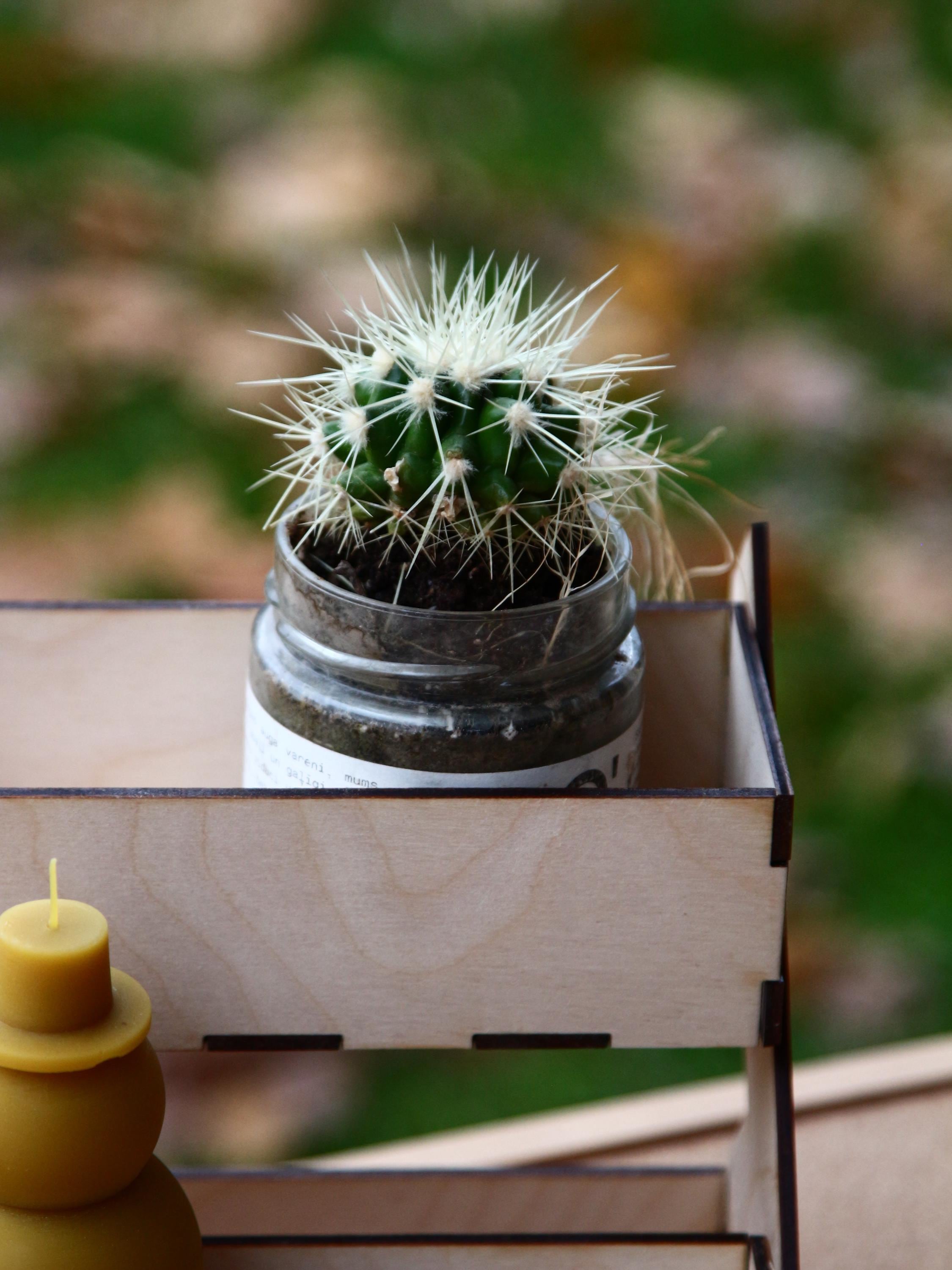 Two-Tier Mini Organizer