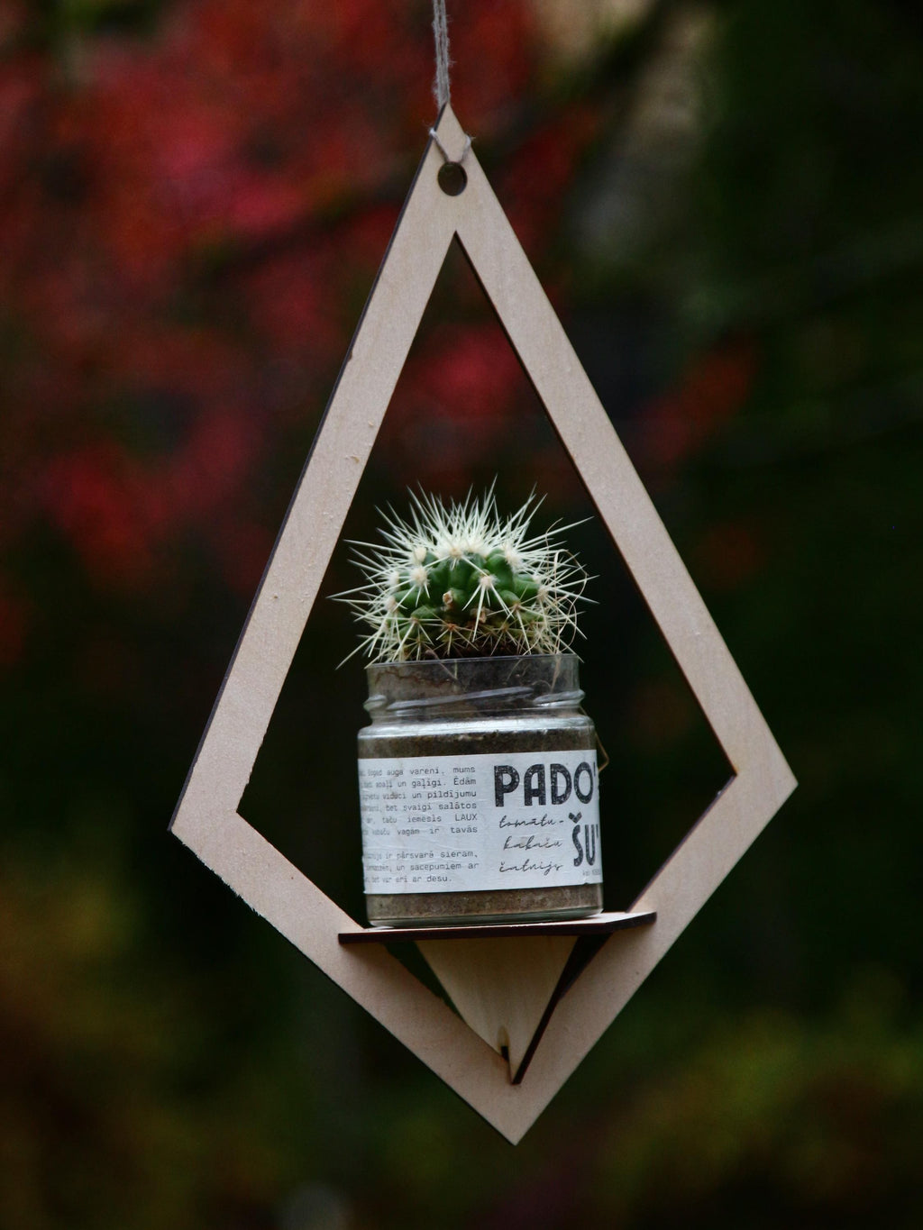 Geometric Hanging Planter Shelf