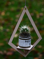 Geometric Hanging Planter Shelf