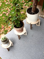 Laser Cut Wooden Plant Stand